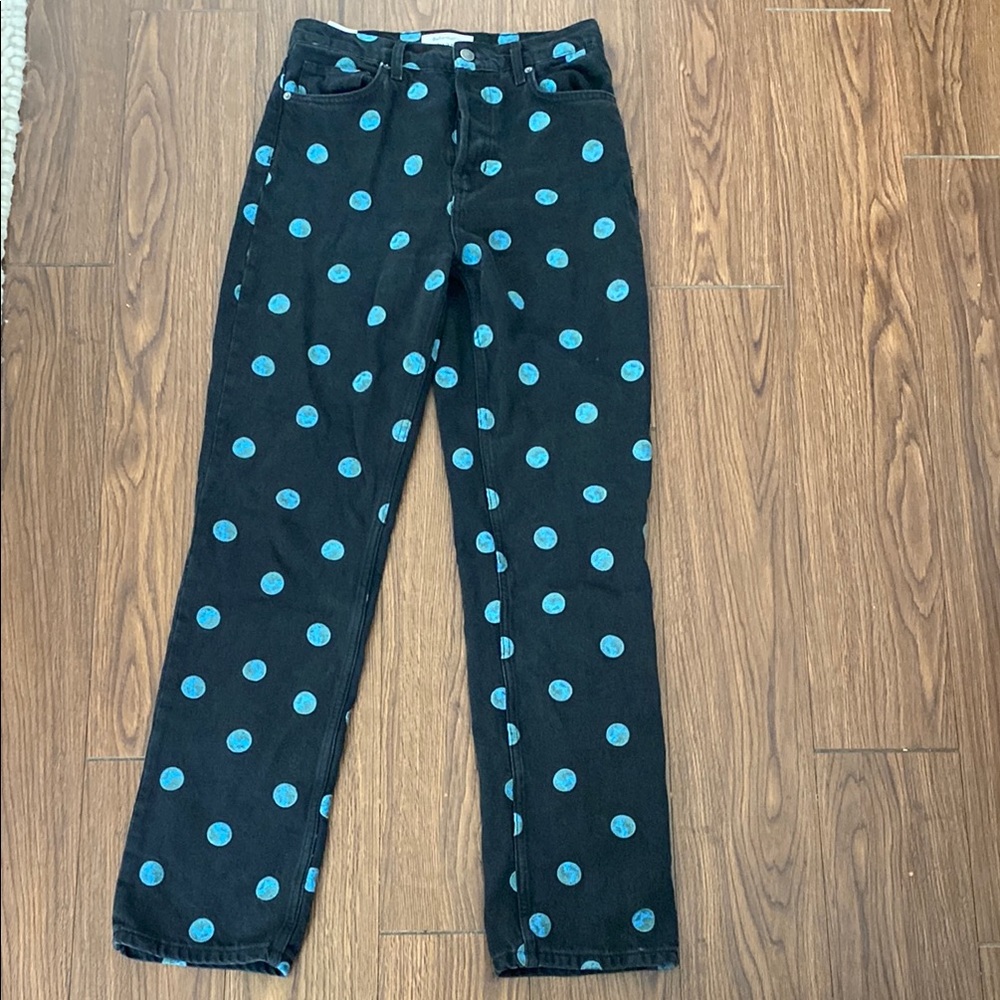 Size 28 Reformation Earth Embroidered High Rise Straight Leg Jeans